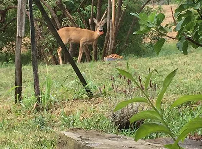 ゲストハウス Eszter-haz